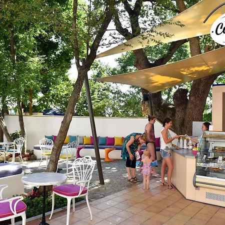 Grifid Arabella 골든샌드