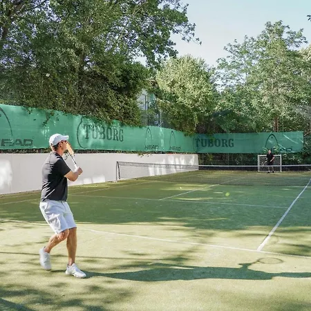 Grifid Arabella Золотые Пески