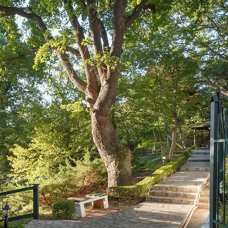 Grifid Arabella 골든샌드