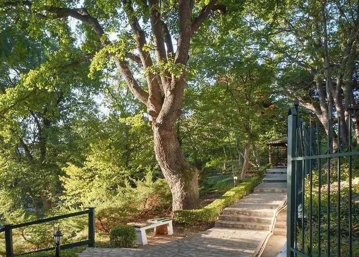 Grifid Arabella Złote Piaski